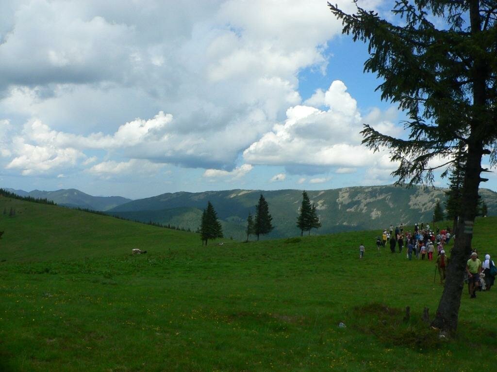 P1100290